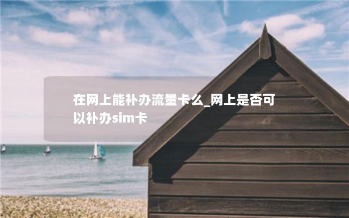 在网上能补办流量卡么_网上是否可以补办sim卡(网上办的流量卡丢了能补办吗)