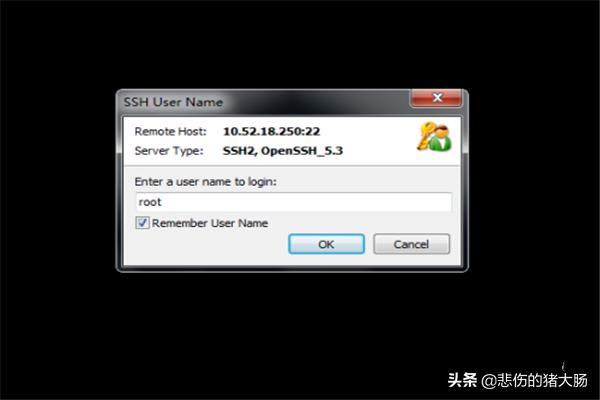 java远程linux服务器执行cmd（java远程linux）-冯金伟博客园