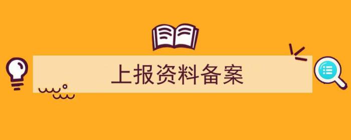 上报资料备案什么意思（上报资料备案）