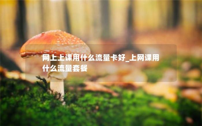 网上上课用什么流量卡好_上网课用什么流量套餐(学生用什么流量卡最划算)