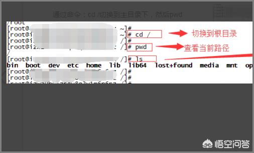 linux查看目录内容命令（linux下查看目录）-冯金伟博客园