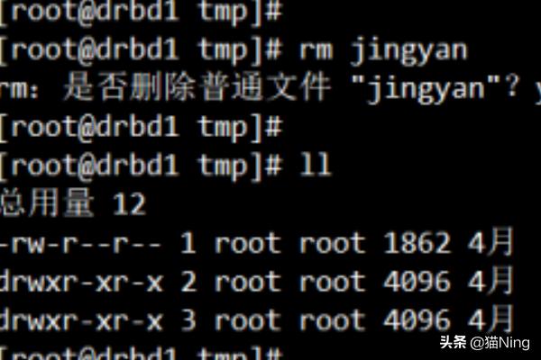 新建目录linux代码（新建目录 linux）-冯金伟博客园