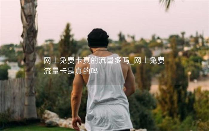 网上免费卡真的流量多吗_网上免费流量卡是真的吗