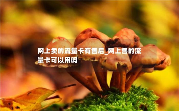 网上卖的流量卡有售后_网上售的流量卡可以用吗