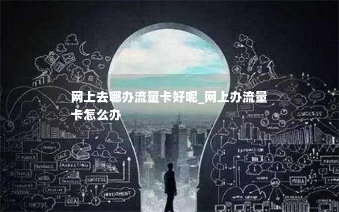 网上去哪办流量卡好呢_网上办流量卡怎么办(在网上办流量卡哪里比较靠谱呀)