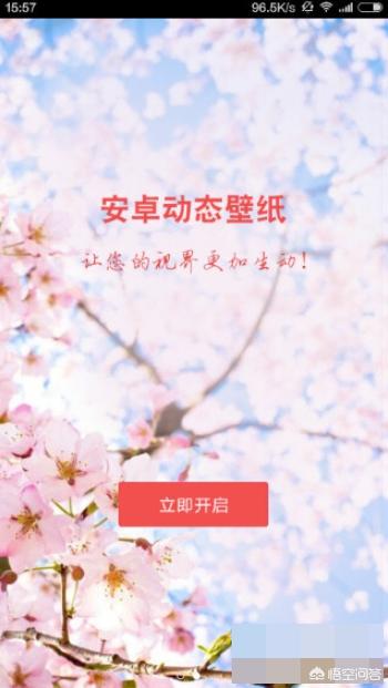 安卓主题壁纸app（安卓主题壁纸）-冯金伟博客园