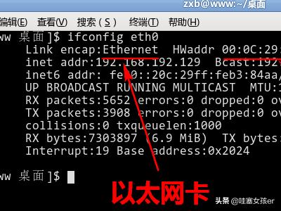 linux查看网卡型号命令（linux 查看网卡型号）-冯金伟博客园