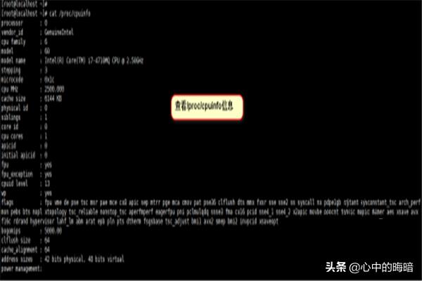 linux查看cpu情况命令（linux查看cpu情况）-冯金伟博客园